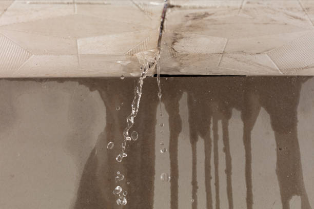 Professional Burst Pipe Cleanup technician working in Decatur, MS